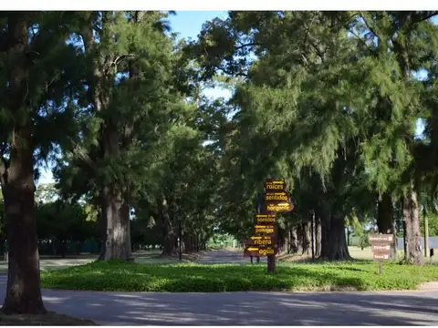 Terreno en Venta 50  mts Frente