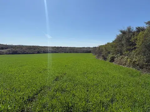 148.61 hectáreas en Diamante