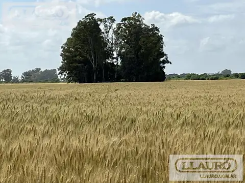 ruta 193, Solis, Provincia de Buenos aires