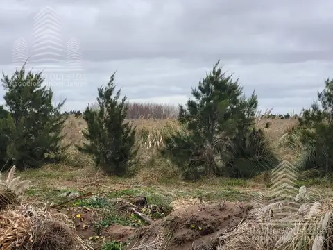 Frente entrada Costa del Este