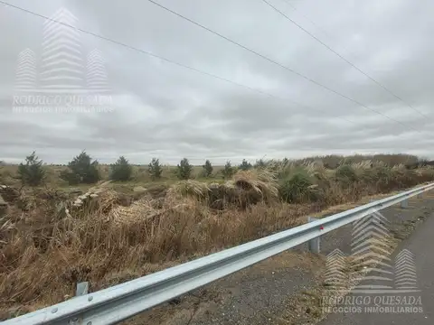 Terrenos-Frente a entrada de Costa del Este-Cada uno cuenta con 4.000mts² USD 95.000 C/u