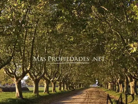 Terreno en Venta 35  mts Fondo