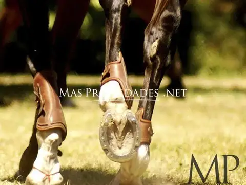 Terreno en Venta en Estancia Villa Maria, USD 37.000