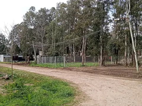 Terreno en Venta 44  mts Fondo