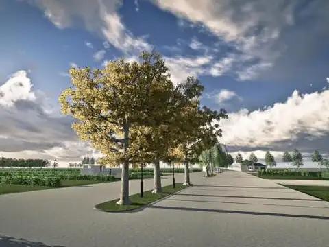 Terreno en Venta 10  mts Frente