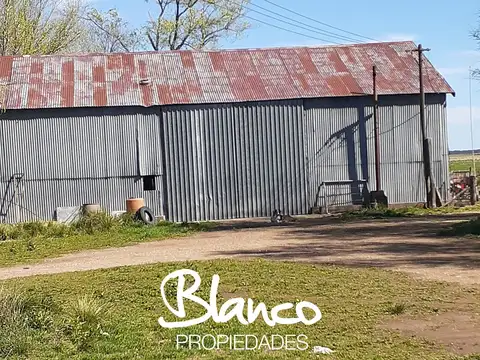 Campo  en Venta en Winifreda, La Pampa