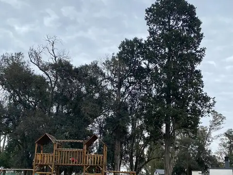 Terreno en Venta de 1000,0 m2