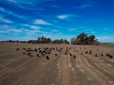 Carlos Keen Zona Rural
