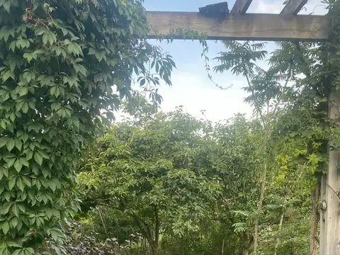 fragata Hercules 100, Piso 1