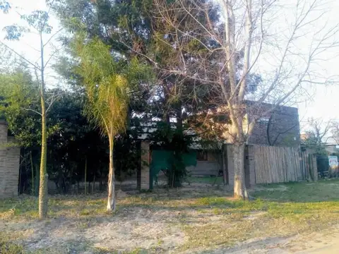 Los cardenales al 6600