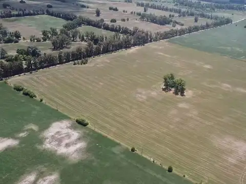 Campo de 22,5 has en venta en cortinez a mts de la autopista - Lujan