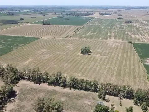 Campo de 22,5 has en venta en cortinez a mts de la autopista - Lujan