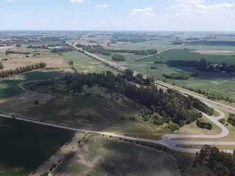 Campo de 22,5 has en venta en cortinez a mts de la autopista - Lujan