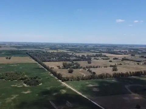 Campo de 22,5 has en venta en cortinez a mts de la autopista - Lujan