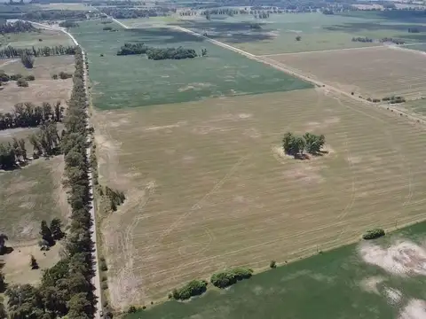 Campo de 22,5 has en venta en cortinez a mts de la autopista - Lujan