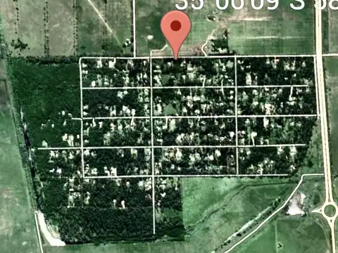 BRANDSEN Y LOS PINOS