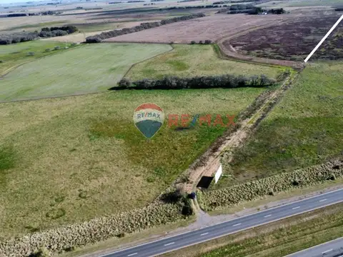 CAMPO VENTA 32 HECTAREAS EN GENERAL MADARIAGA