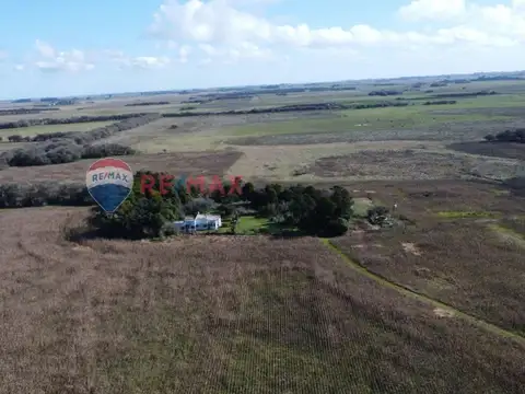CAMPO VENTA 32 HECTAREAS EN GENERAL MADARIAGA