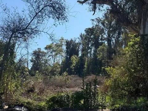 Camino de Las Tropas