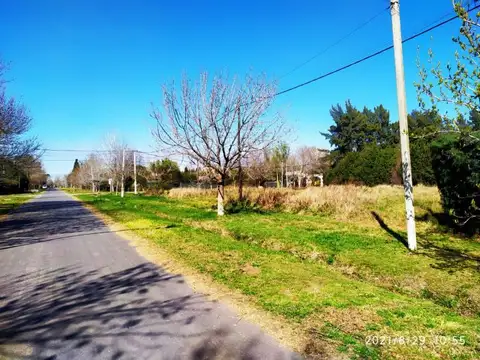 MENSAJERIAS Y PACTO FEDERAL