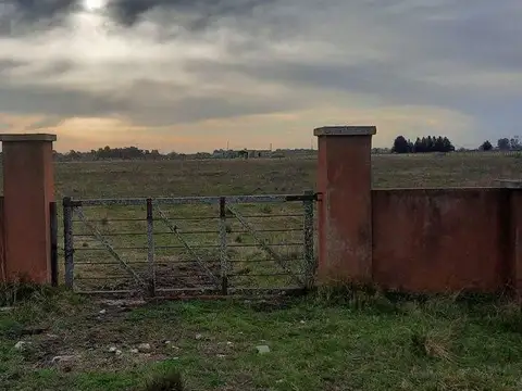 Terreno en Venta de 25000,0 m2