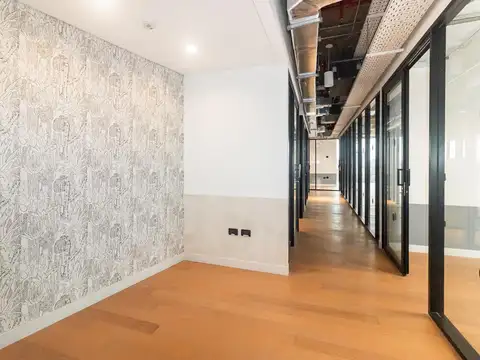 Alquiler Oficina 300 Mts. de alfombra   3 cocheras - Blas Parera 51 - Vicente López