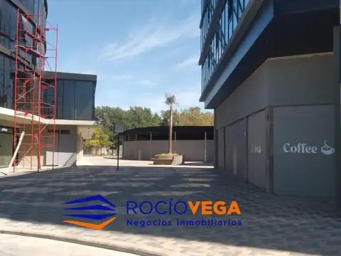 Local en Alquiler A Estrenar