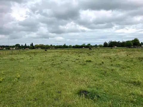 Avenida San Martin y 13