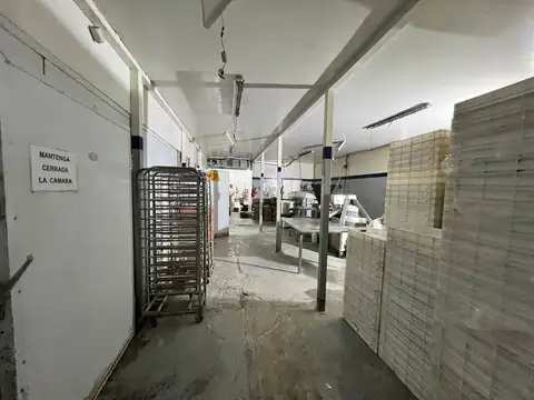 Importante industria sobre tres lotes