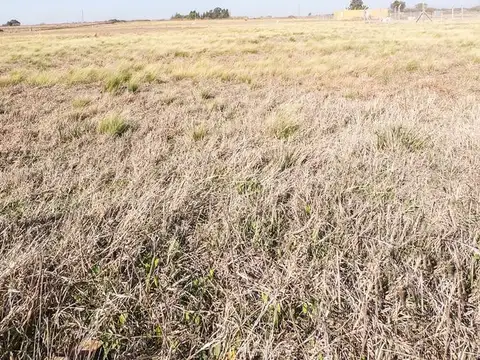 Calle 468 e/ 411 y 413 - La Loma