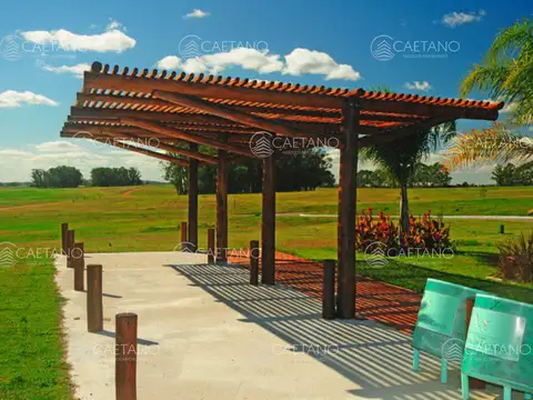 Terreno en Venta 50  mts Frente