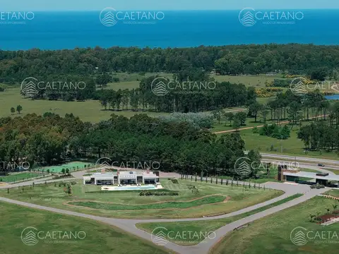 Terreno en Venta en Punta Ballena, USD 210.000