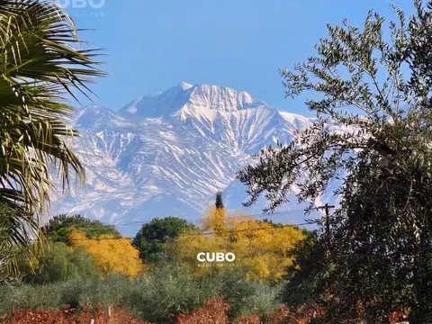 Franklin Villanueva s/n – Lunlunta – Maipú – Mendoza