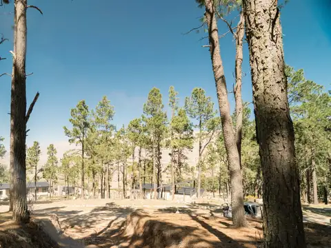 Terreno en  Venta, Pinar De Tafí del Valle - La Quebradita