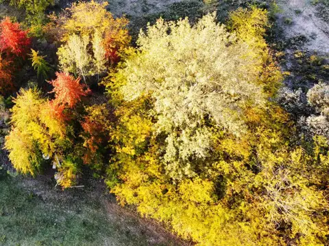 Ruta 4 y El Resero - Cardales