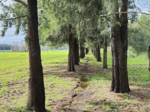 Ruta 4 y El Resero - Cardales