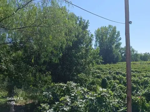 Ruta Provincial 24 100