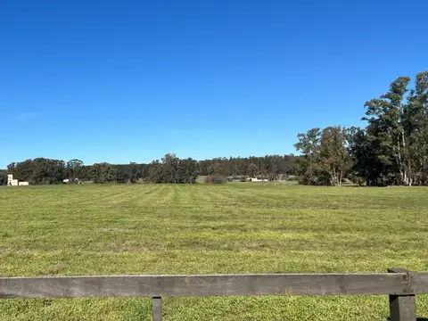 Terreno en Venta de 18000,0 m2