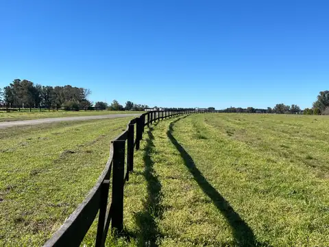 Terreno en Venta en Baradero, USD 95.000