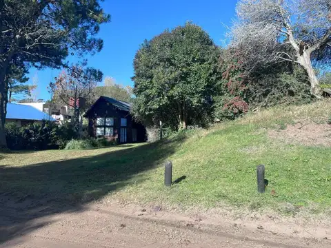 Corbeta Julieta 1000