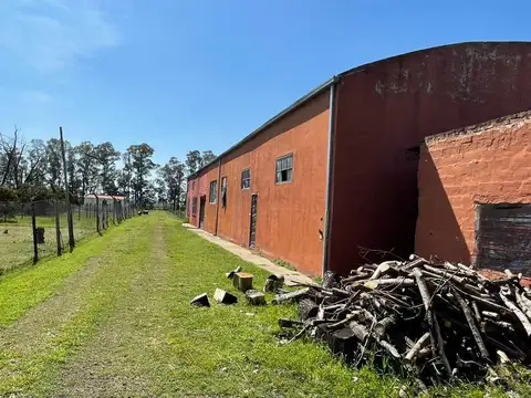 VENTA - CHACRA en BARADERO - 24 HECTAREAS