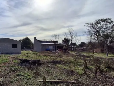 juan Bautista Alberdi 800