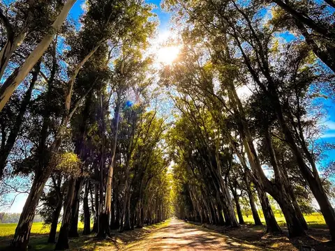 VENTA DE LOTE CHACRAS DE SAN ANDRES -B LA MONTURA