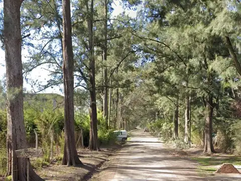 Humboldt e/ Cesareo de Quirós y Brughetti