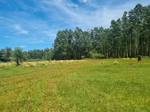 Terreno en Venta de 1048,0 m2