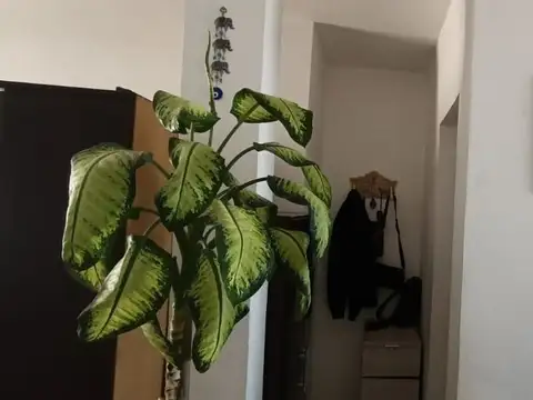 Casa 5 ambientes con 1 baño