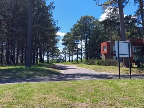 Terreno Lote  en Venta en Pinares CC, Exaltación de la Cruz,