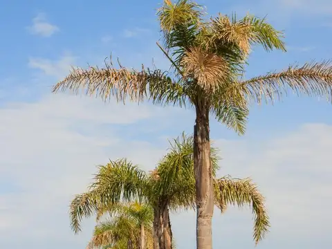 Terreno en Venta en Capilla Del Señor, USD 55.000