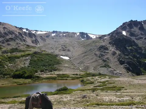 Campo en Venta  486 Has  con costa  del Alto Rio Chubut