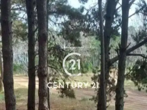 Terreno en Venta en Villarobles, USD 40.000